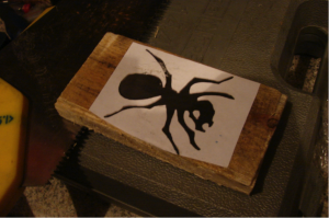 The Ant Project - Image 2