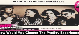 How Would You Change The Prodigy Experience