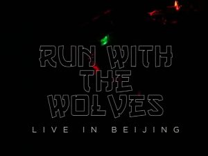 Incredible video of Run With The Wolves (Live In China)