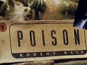 Poison Video Clip Remix by Stone Oakvalley Studios