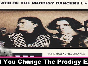 How Would You Change The Prodigy Experience