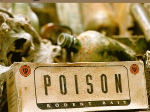 Poison (Jilted) VS Poison (Edit) VS Poison (Radio 1) VS Poison (Science Dub)