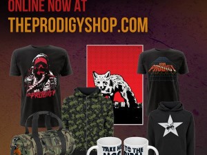 Sweet New Items on The Prodigy Online Store
