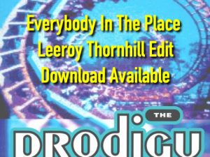 Everybody In The Place - Leeroy Thornhill Edit - Download